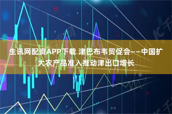 生讯网配资APP下载 津巴布韦贸促会——中国扩大农产品准入推动津出口增长