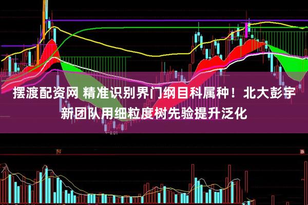 摆渡配资网 精准识别界门纲目科属种！北大彭宇新团队用细粒度树先验提升泛化